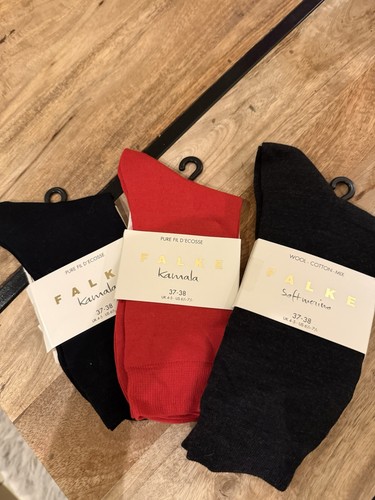 Paar falke family - falke,