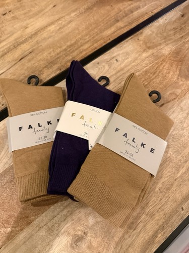 Paar falke family - falke,