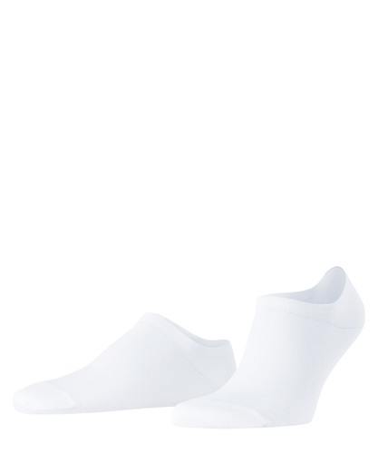 Falke family herren - family,