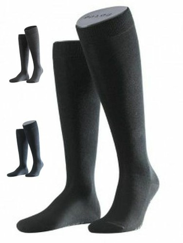 Paar falke family - 1,2,3,